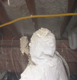 New Orleans LA crawl space insulation